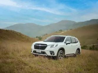 Đánh giá xe Subaru Forester 2023