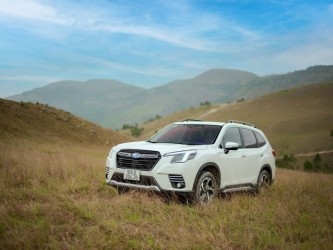 Đánh giá xe Subaru Forester để quyết định có nên mua hay không?