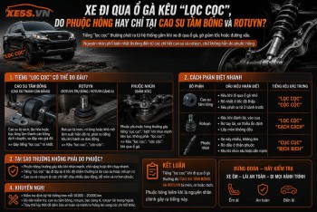 Xe đi qua ổ gà kêu "lọc cọc", do phuộc hỏng hay chỉ tại cao su tăm bông và rô-tuyn?