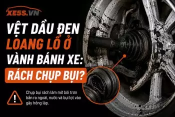 Vệt dầu đen loang lổ ở vành bánh xe: Rách chụp bụi?
