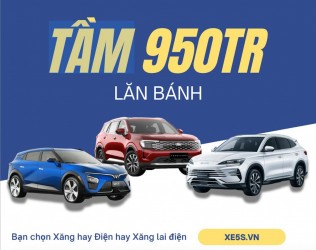 BYD Sealion 6, VinFast VF 7, Ford Territory Titanium: Bạn chọn chiếc nào trong tầm 950tr lăn bánh?