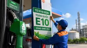 Xe nào dùng được xăng E10? Danh sách chi tiết các mẫu xe phổ biến hiện nay