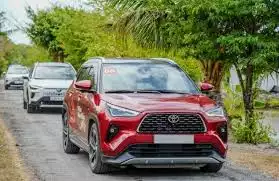 Xe nào dùng được xăng E10? Danh sách chi tiết các mẫu xe phổ biến hiện nay