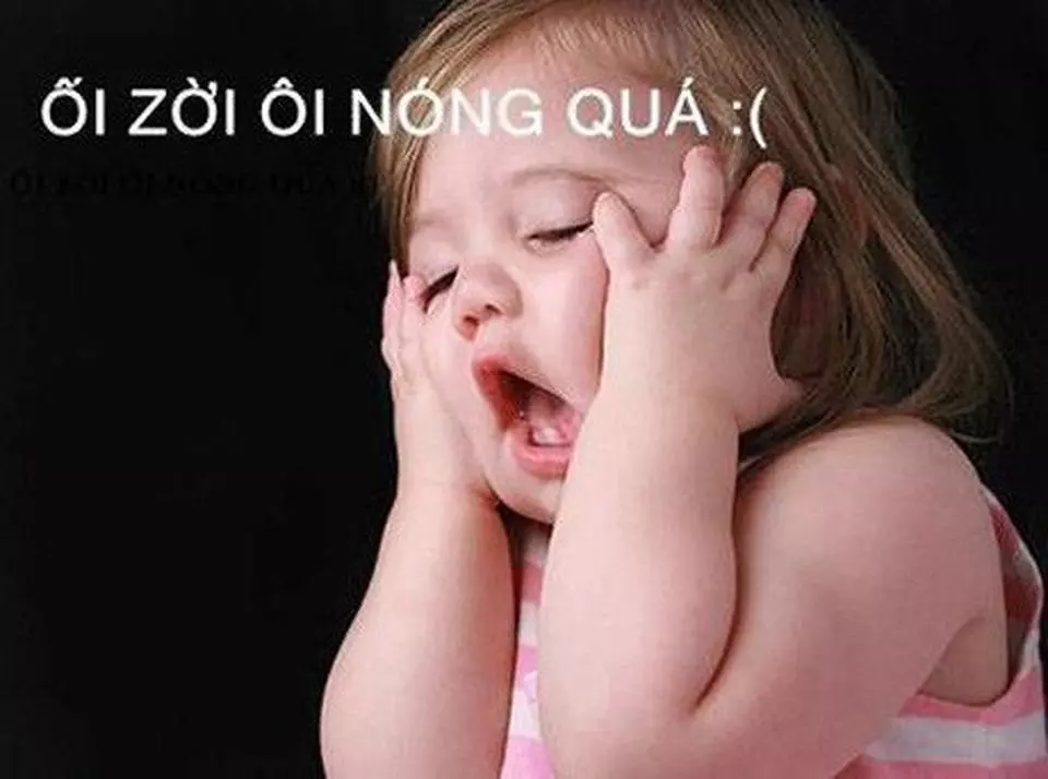 D&aacute;n phim c&aacute;ch nhiệt &ocirc; t&ocirc;