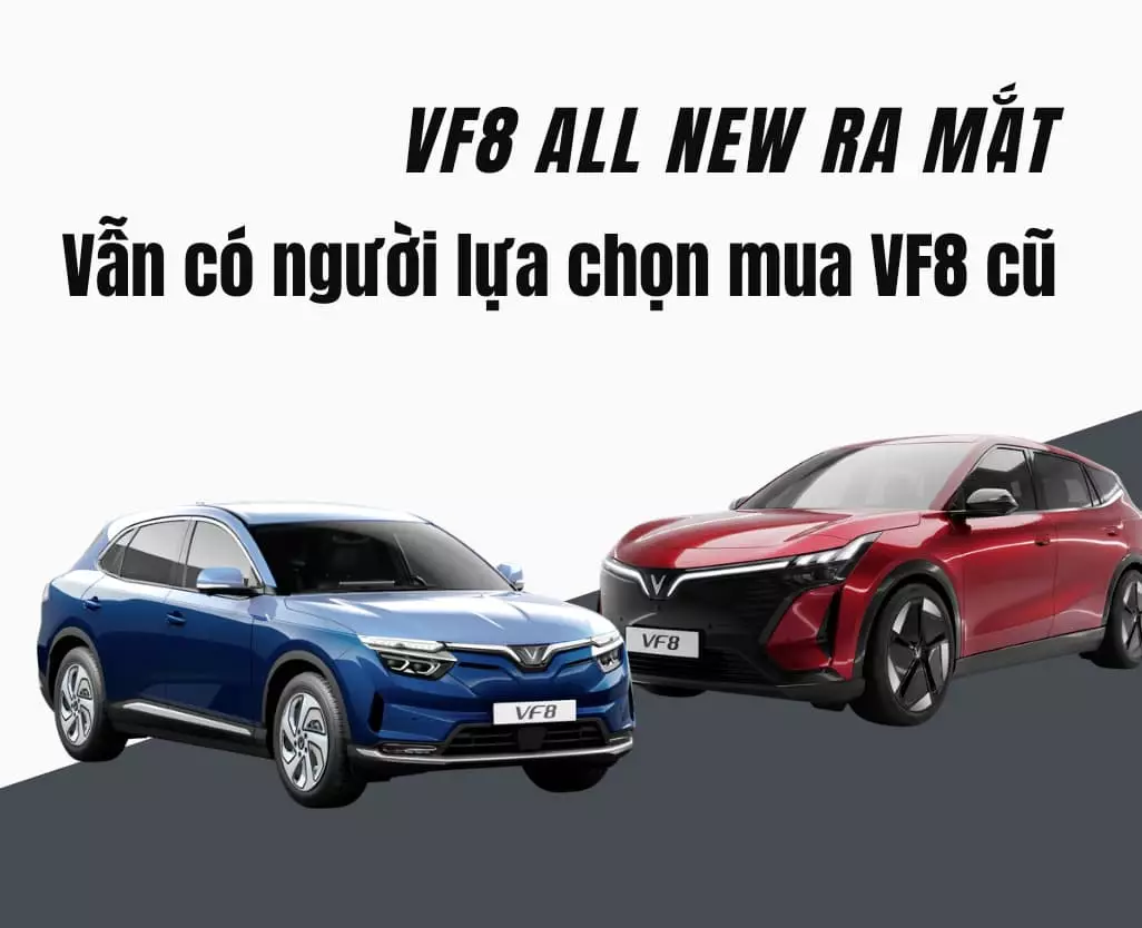 Mua VF8 cũ