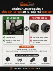 Có nên ép lại cao su càng A bằng máy thủy lực hay bắt buộc phải thay mới?