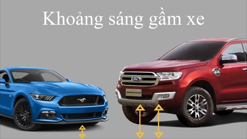 Gầm thấp hay gầm cao