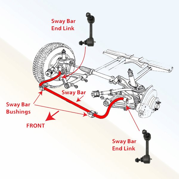 Rô tuyn cân bằng trước