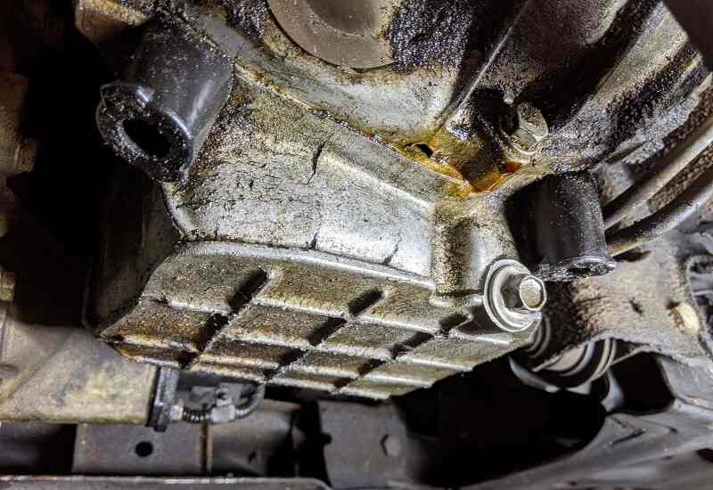 Phớt đầu trục cơ