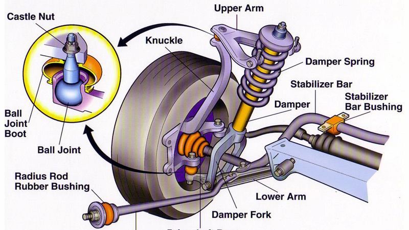 Rô tuyn cân bằng trước