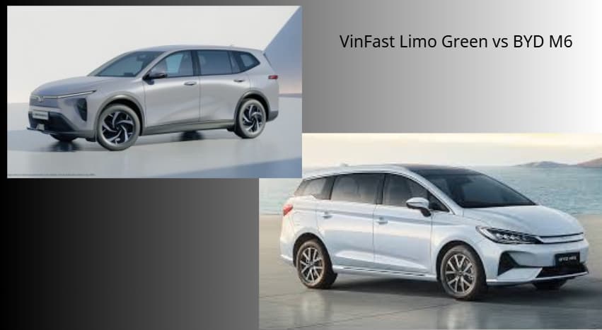 Mua xe điện 7 chỗ chạy dịch vụ: Chọn VinFast Limo Green hay BYD M6? Chọn con nào cho đáng tiền?