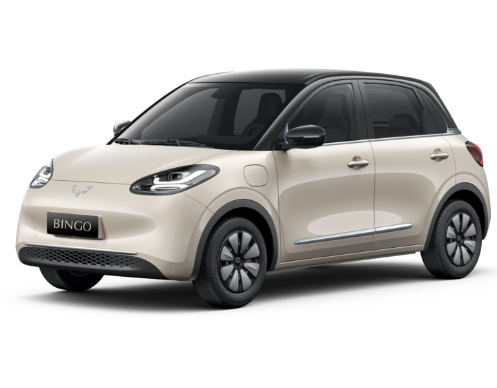 Wuling Bingo