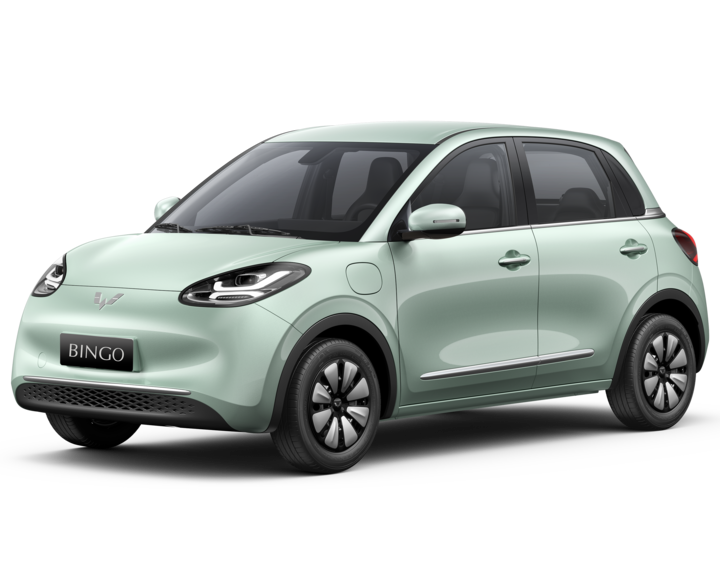 Wuling Bingo