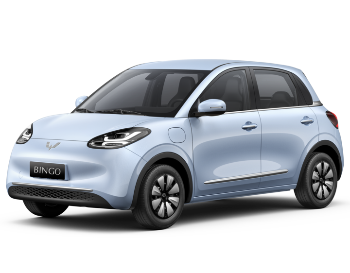 Wuling Bingo