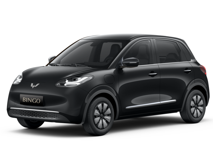Wuling Bingo