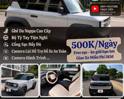 Cho thuê xe Vinfast VF3 tại HCM