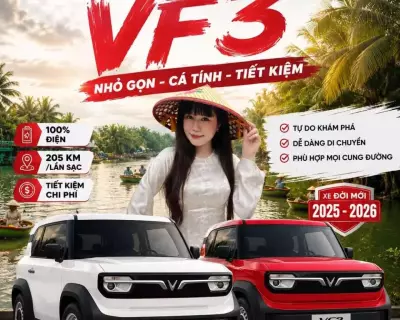 Cho thuê xe Vinfast VF3 tại Đà Nẵng