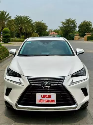 Bán Xe Lexus NX300 - 2020