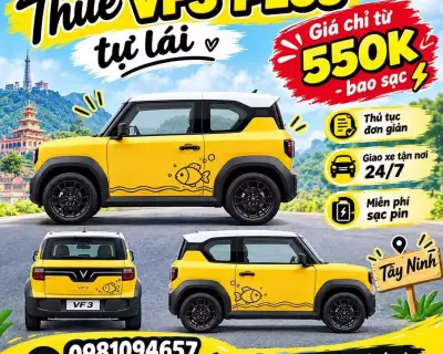 Cho thuê xe VinFast VF3 tại Tây Ninh