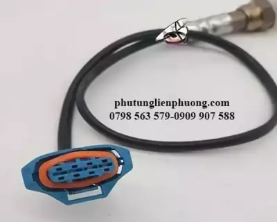 Cảm biến oxy Cruze