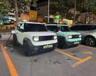 Cho thuê xe Vinfast VF3 tại HCM