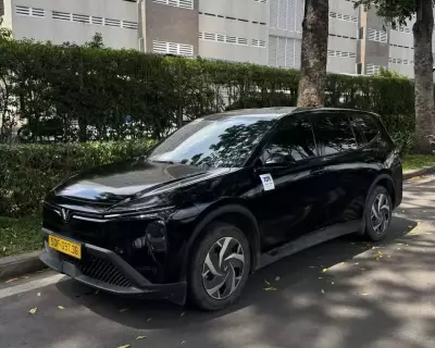 Cho thuê xe VINFAST LIMO GREEN tại HCM