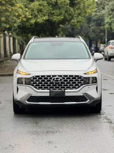 Santafe 2.2D premium 