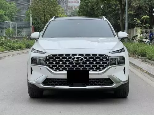 Bán xe Santafe fun xăng premium 2022