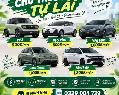 Cho thuê xe điện tự lái tại Biên Hòa