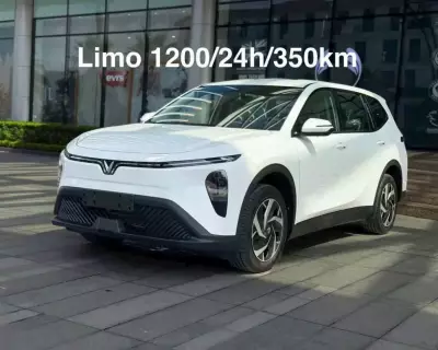 Cho thuê xe VinFast Limo Green tại Tây Ninh