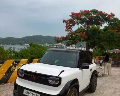 Cho thuê xe Vinfast VF3 tại Nha Trang