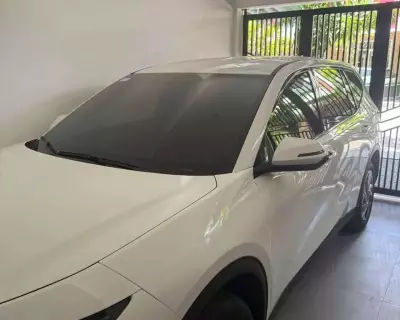 Cho thuê xe Vinfast Limo Green tại Đà Nẵng