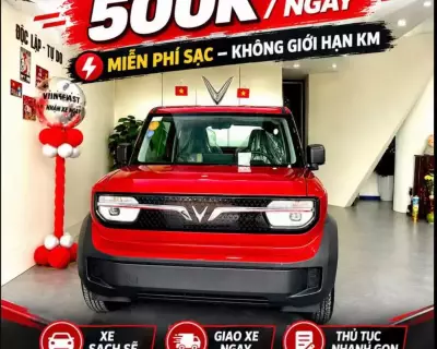 Cho thuê xe VinFast VF3 tại Bình Dương