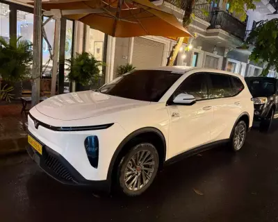 Cho thuê xe Vinfast Limo Green tại HCM