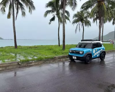 Cho thuê xe VinFast VF3 tại Nha Trang