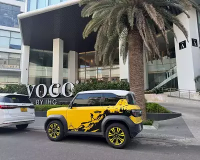 Cho thuê xe VinFast VF3 tại Nha Trang