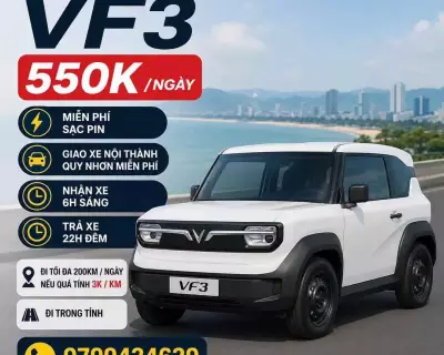 Cho thuê xe Vinfast VF3 tại Quy Nhơn