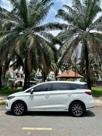 BYD M6 2025 bao check