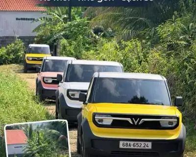 Cho thuê xe ô tô tự lái tại Phú Quốc - VF3, VF5, VF6, VF7, Lime Green