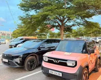 Cho thuê xe VF3 – VF5 – VF6 – VF7 – MPV 7 chỗ tại Phú Quốc 