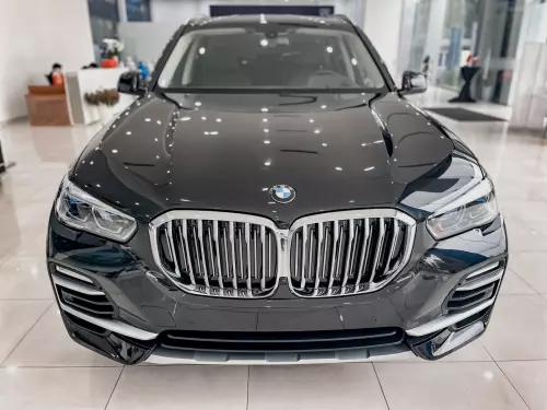 Xe mới BMW X5 BMW X5 xDrive40i xLine Plus 2021, Tự động