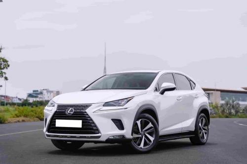 Lexus NX300 2019