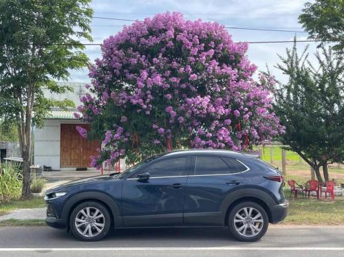 Bán xe Mazda Cx30