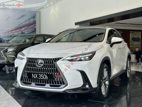 Bán Xe Lexus NX 350h 2023