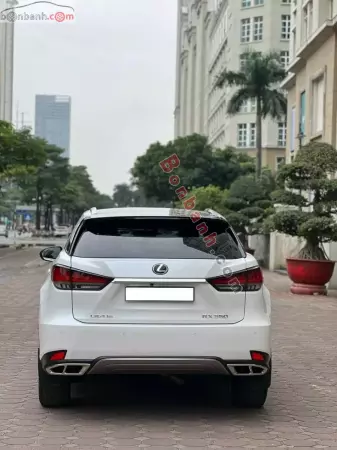 Bán Xe Lexus RX 300 2020