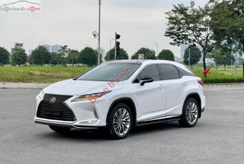 Xe Lexus RX 300 2021