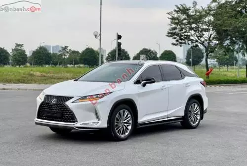 Xe Lexus RX 300 2021