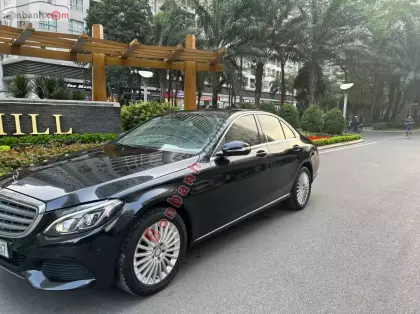 Xe Mercedes Benz C class C250 Exclusive 2015
