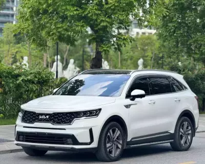 Sorento 2021 2.2D odo 8v zin