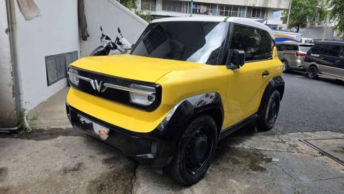 VF3 THUÊ PIN 2024